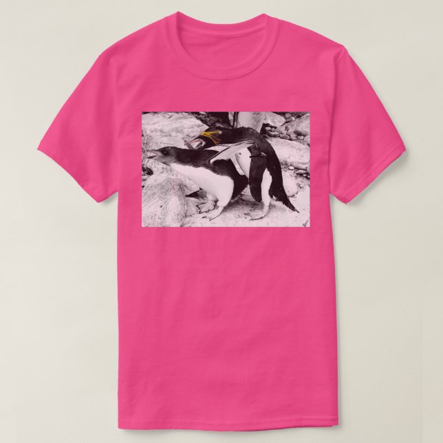 Camiseta Pingüinos 2 (Diseño del anverso)
