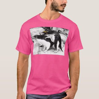 Camiseta Pingüinos 2