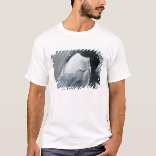 Camiseta Pingüinos Chinstrap, Pygoscelis antártica),