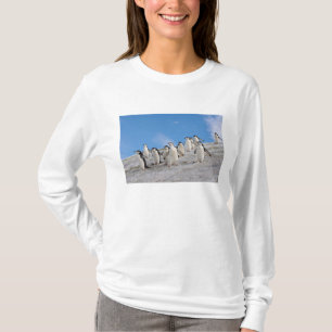 Camiseta Pingüinos de la Antártida   Pygoscelis Antarctica