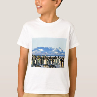 Camiseta Pingüinos emperadores