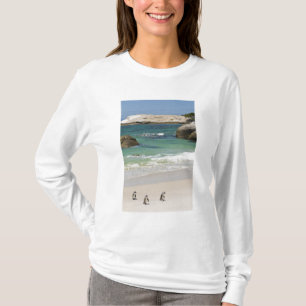 Camiseta Pingüinos en la playa de Boulders, Simons Town, Su