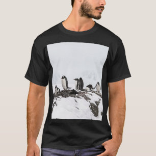 Camiseta Pingüinos Gentoo, Antártida, Estación Vernadsky.