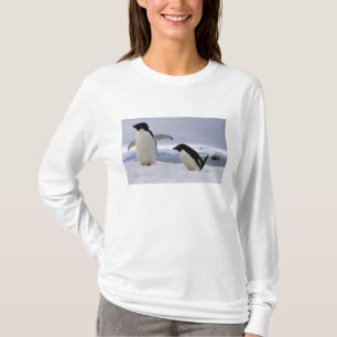 Camiseta Pingüinos Pair Adelie Antártida