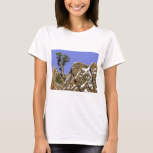 Camiseta Pino de Bristlecone