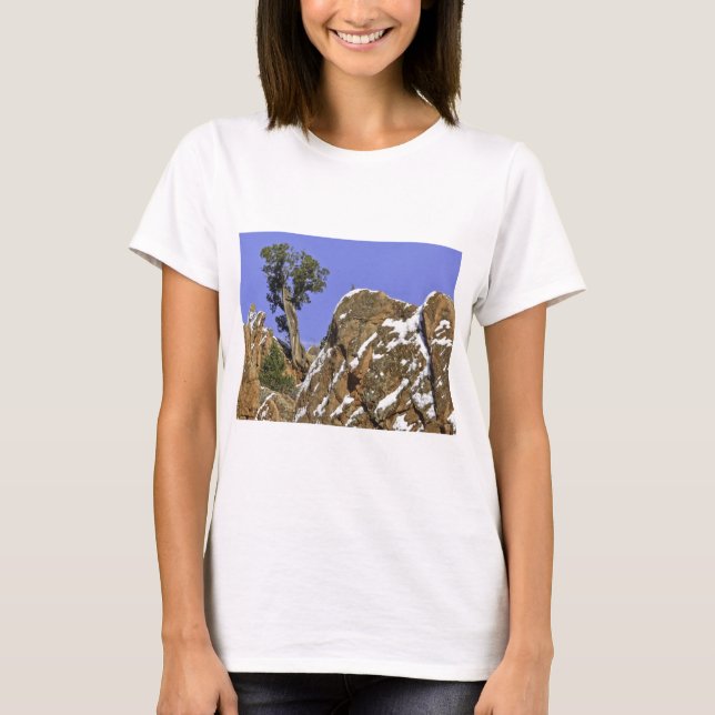 Camiseta Pino de Bristlecone (Anverso)