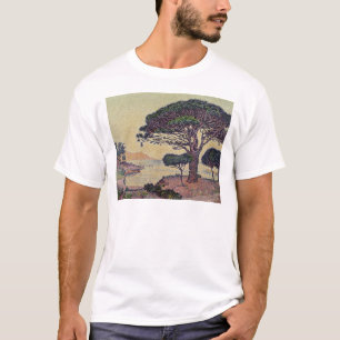 Camiseta Pinos de paraguas en Caroubiers, 1898