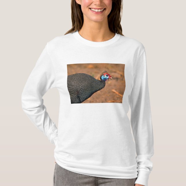 Camiseta Pintada común (Numida meleagris). África, (Anverso)