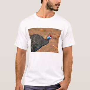 Camiseta Pintada común (Numida meleagris). África,