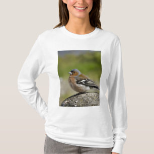 Camiseta Pinzón vulgar macho (SALVAJE: Fringilla coelebs)
