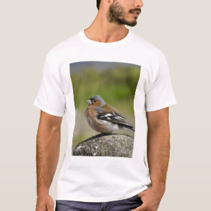 Camiseta Pinzón vulgar macho (WILD: Fringilla coelebs)