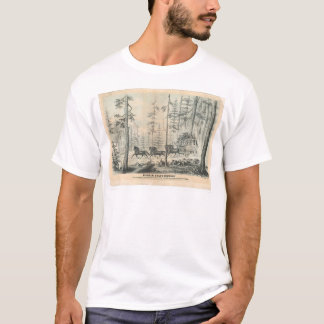 Camiseta Pioneer Stage Company (0065A)