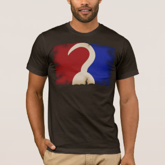 Camiseta Pirata profesional