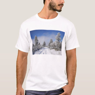 Camiseta Pista nevada y pinos, Cambrians, cerca de St