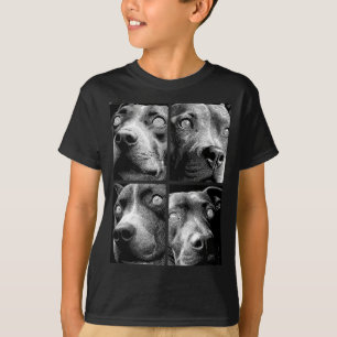 Camiseta Pit Bulls Hipnóticos Ojos Raros Weirdcore Espeluzn