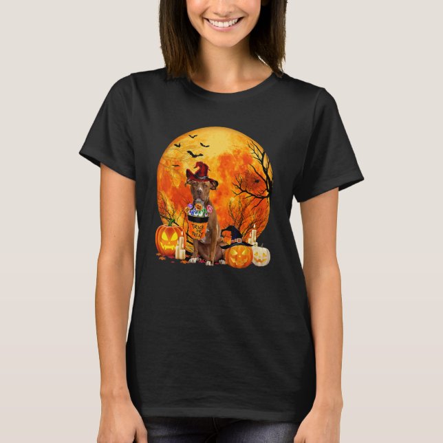 Camiseta Pitbull Dog Witch Pumpkin Halloween Costume (Anverso)