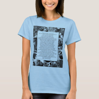 Camiseta Pitbull… No quiero luchar…