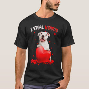 Camiseta Pitbull robo corazones perro lindo abrazo corazón