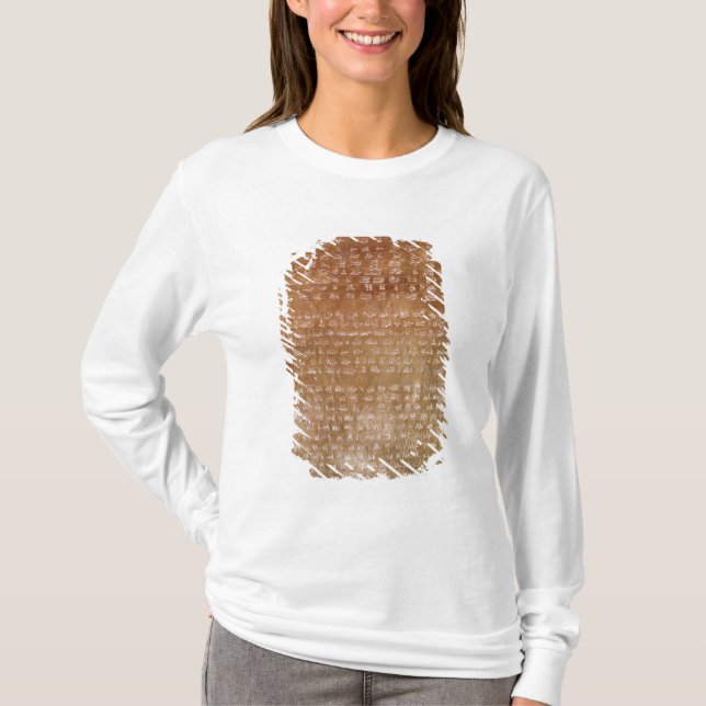 Camiseta Placa de Darius I 550-500 A.C. (Anverso)