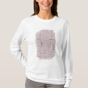 Camiseta Placa I, ilustrando la ley II del volumen I