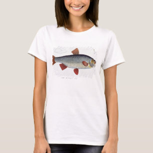 Camiseta Placa II de roca (Cyprinus Rutilis) de Ichthyolog
