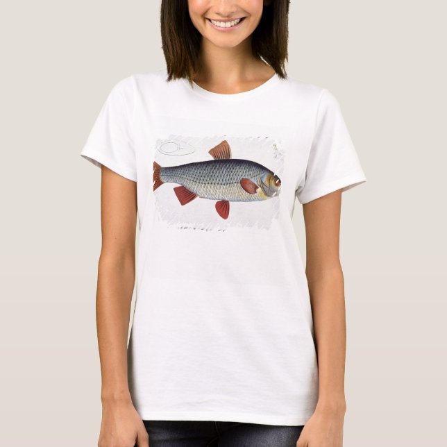 Camiseta Placa II de roca (Cyprinus Rutilis) de Ichthyolog (Anverso)