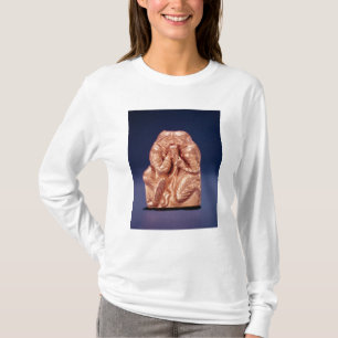 Camiseta Placa que representa dos Scythians que comparte
