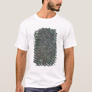 Camiseta Placa votiva con una inscripción venetic