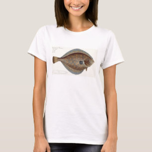 Camiseta Placa XLII de la platija (Pleuronectes Platessa)