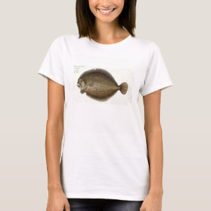 Camiseta Placa XLIX del rodaballo (Pleuronectes Maximus) de