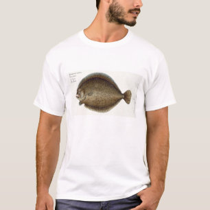 Camiseta Placa XLIX del rodaballo (Pleuronectes Maximus) de