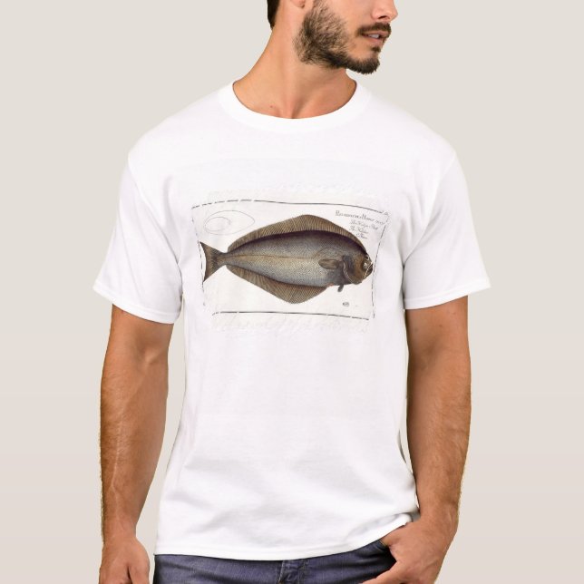 Camiseta Placa XLVII franco del halibut (Hippoglossus del (Anverso)