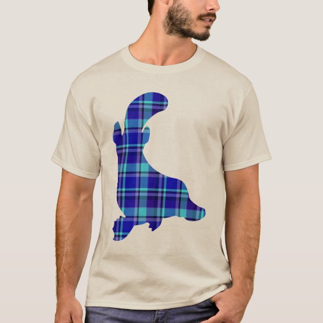Camiseta plaidíaco (Anverso)
