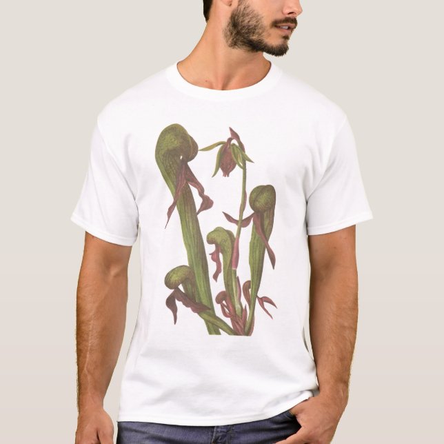 Camiseta Planta carnívora - californica del Darlingtonia (Anverso)