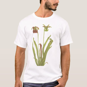 Camiseta Planta carnívora - rubra del Sarracenia