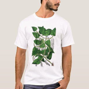 Camiseta Planta de la pimienta negra, 1578