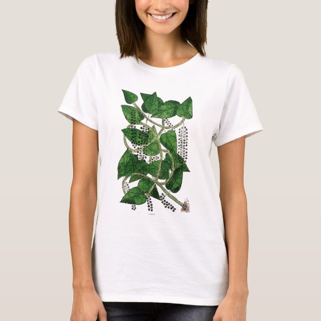Camiseta Planta de la pimienta negra, 1578 (Anverso)