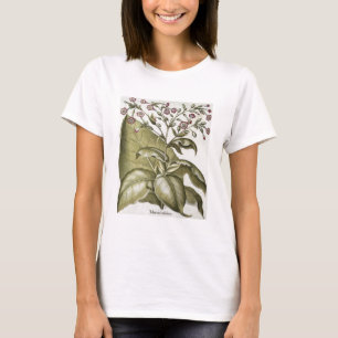 Camiseta Planta de tabaco, del "Hortus Eystettensis" por B