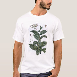 Camiseta Planta de tabaco, placa 7, de la 'colección