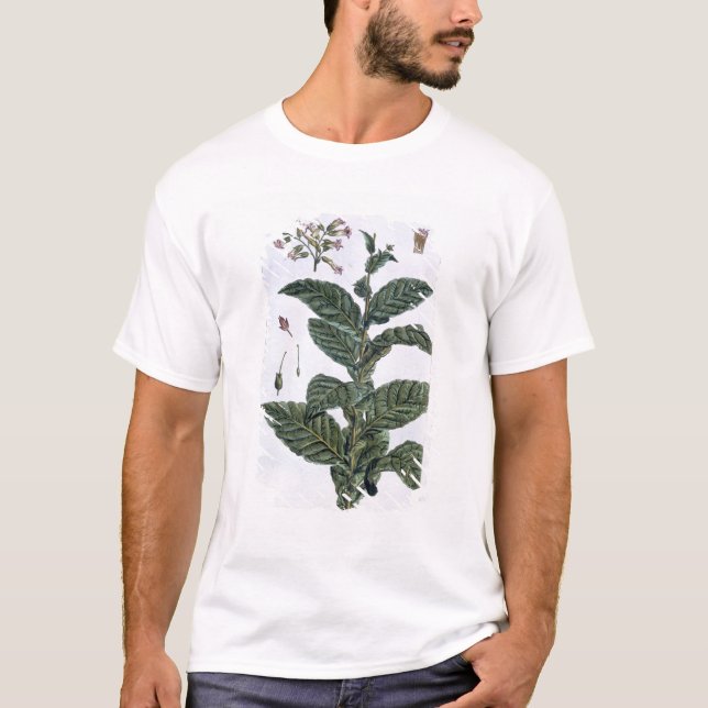 Camiseta Planta de tabaco, placa 7, de la 'colección (Anverso)