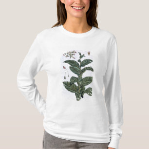 Camiseta Planta de tabaco, placa 7, de la 'colección