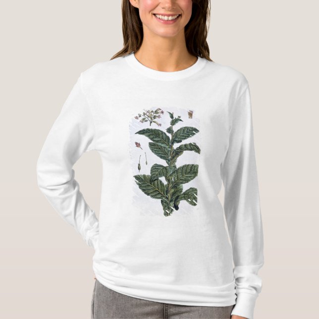 Camiseta Planta de tabaco, placa 7, de la 'colección (Anverso)