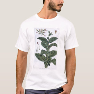 Camiseta Planta de tabaco, placa 7, de la 'colección