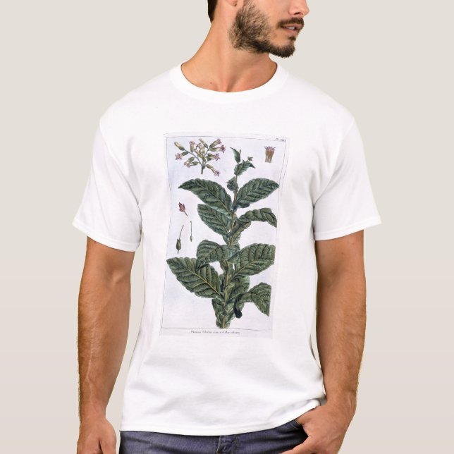Camiseta Planta de tabaco, placa 7, de la 'colección (Anverso)