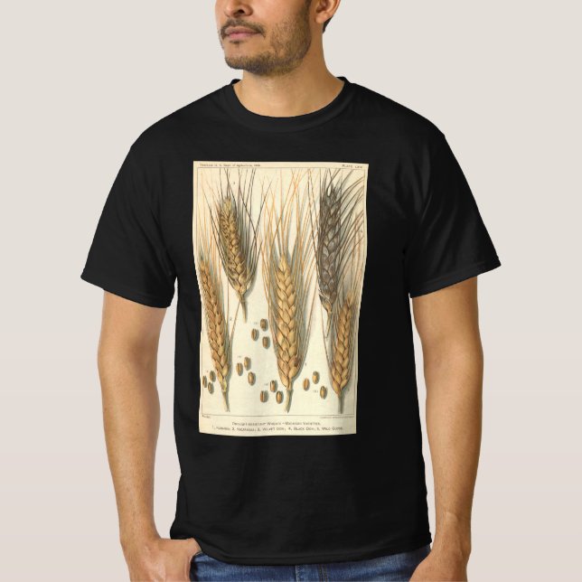 Camiseta Planta de trigo resistente a la sequía, agricultur (Anverso)