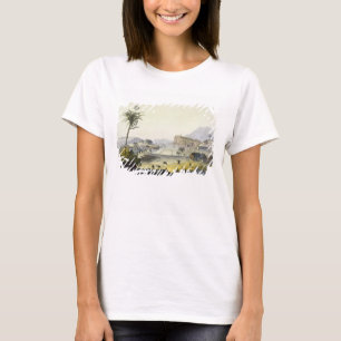 Camiseta Plantación de azúcar, Antillas (grabado de colores