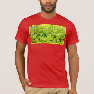 Camiseta "Plantas De Mint" Foto Cute. ¡Hazte con una en Zaz