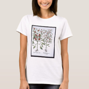 Camiseta Plantas de pimienta chile, de la 'Eystettensi de H