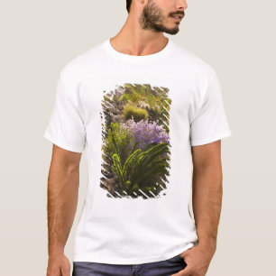 Camiseta plantas del desierto de Chihuahuan en flor
