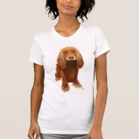 Plata de Cocker Spaniel